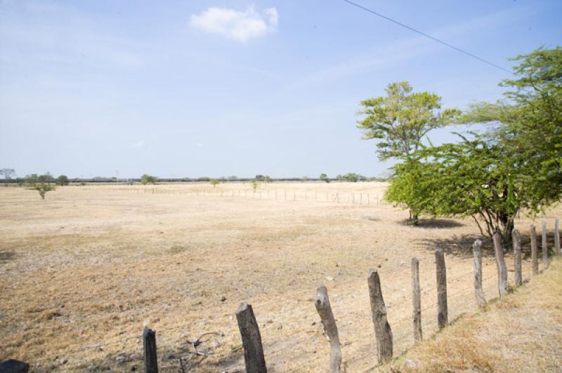 Paisaje de Valledupar, Cesar, Colombia