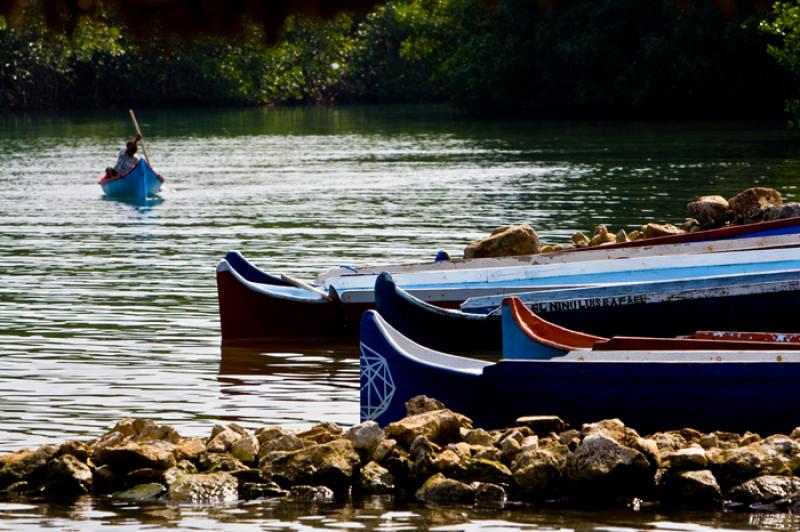 Cienaga de la Caimanera, CoveÃ±as, Golfo de Morr...