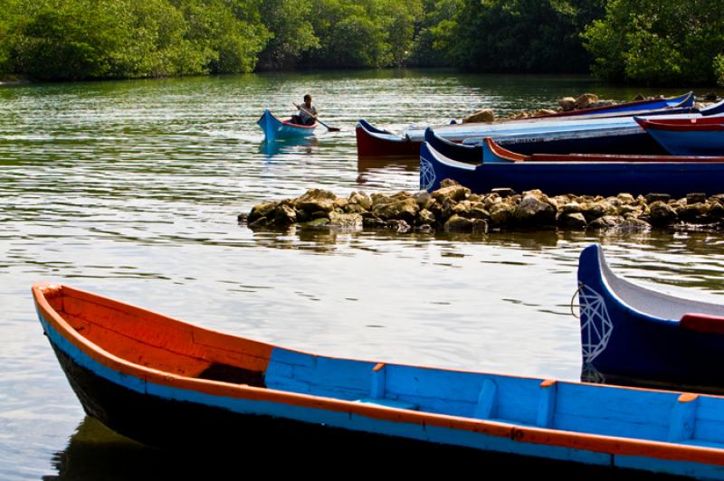 Cienaga de la Caimanera, CoveÃ±as, Golfo de Morr...