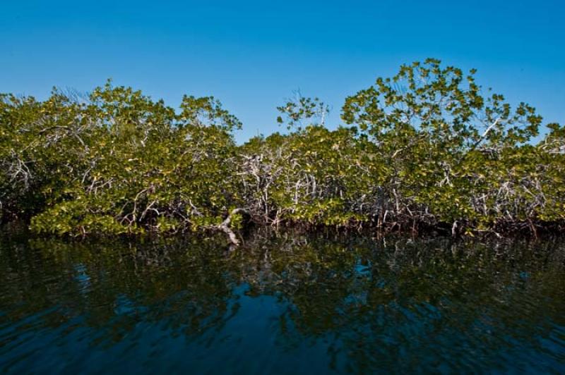 Isla Tintipan, Golfo de Morrosquillo, Archipielago...