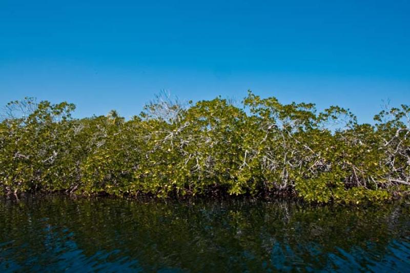 Isla Tintipan, Golfo de Morrosquillo, Archipielago...