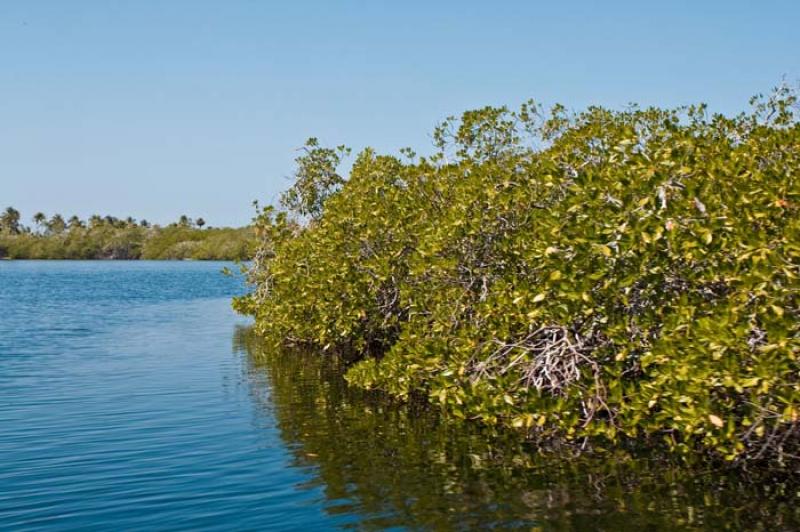 Isla Tintipan, Golfo de Morrosquillo, Archipielago...