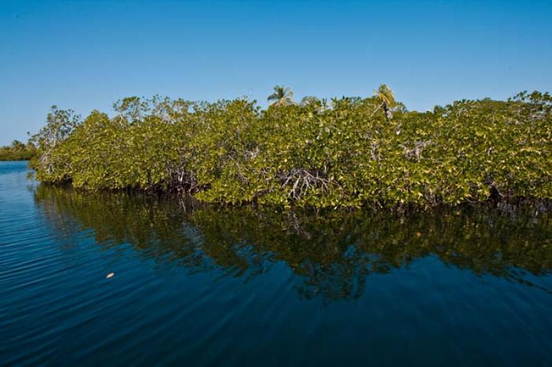 Isla Tintipan, Golfo de Morrosquillo, Archipielago...