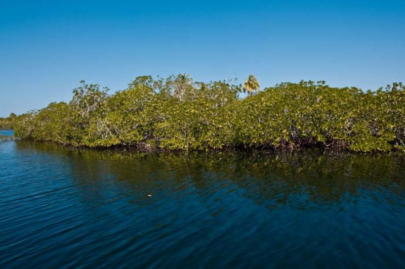 Isla Tintipan, Golfo de Morrosquillo, Archipielago...