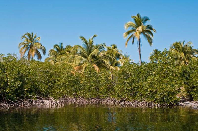 Isla Tintipan, Golfo de Morrosquillo, Archipielago...