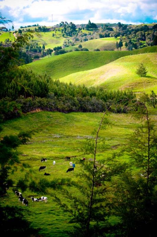 Llanos de Cuiva, Norte AntioqueÃ±o, Antioquia, M...