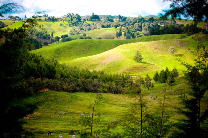 Llanos de Cuiva, Norte AntioqueÃ±o, Antioquia, M...