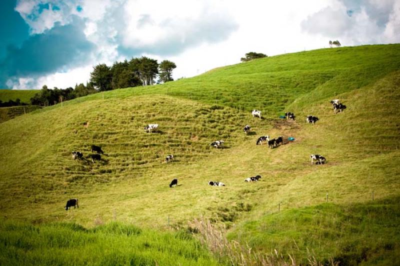 Llanos de Cuiva, Norte AntioqueÃ±o, Antioquia, M...