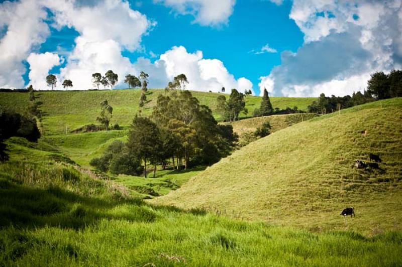 Llanos de Cuiva, Norte AntioqueÃ±o, Antioquia, M...