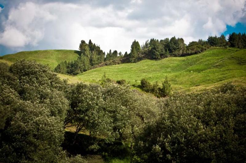 Llanos de Cuiva, Norte AntioqueÃ±o, Antioquia, M...