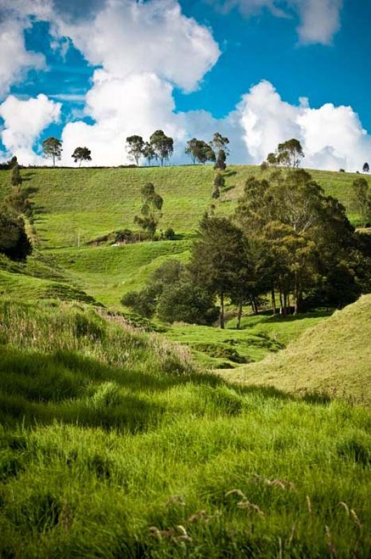 Llanos de Cuiva, Norte AntioqueÃ±o, Antioquia, M...