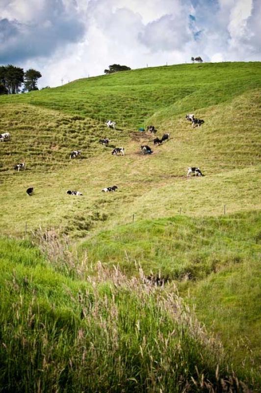 Llanos de Cuiva, Norte AntioqueÃ±o, Antioquia, M...