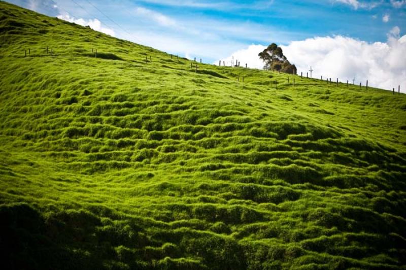 Llanos de Cuiva, Norte AntioqueÃ±o, Antioquia, M...