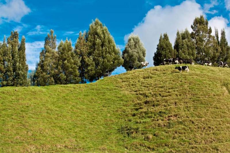 Llanos de Cuiva, Norte AntioqueÃ±o, Antioquia, M...