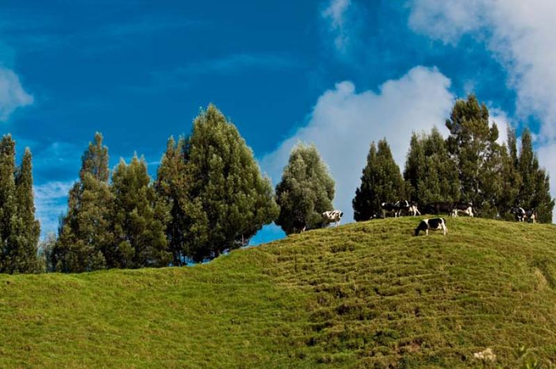 Llanos de Cuiva, Norte AntioqueÃ±o, Antioquia, M...