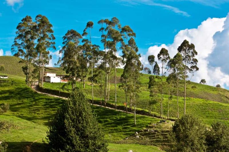 Llanos de Cuiva, Norte AntioqueÃ±o, Antioquia, M...