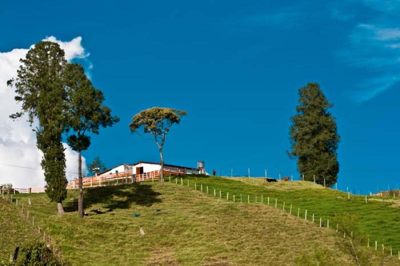 Llanos de Cuiva, Norte AntioqueÃ±o, Antioquia, M...