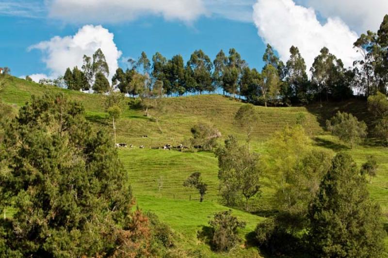 Llanos de Cuiva, Norte AntioqueÃ±o, Antioquia, M...