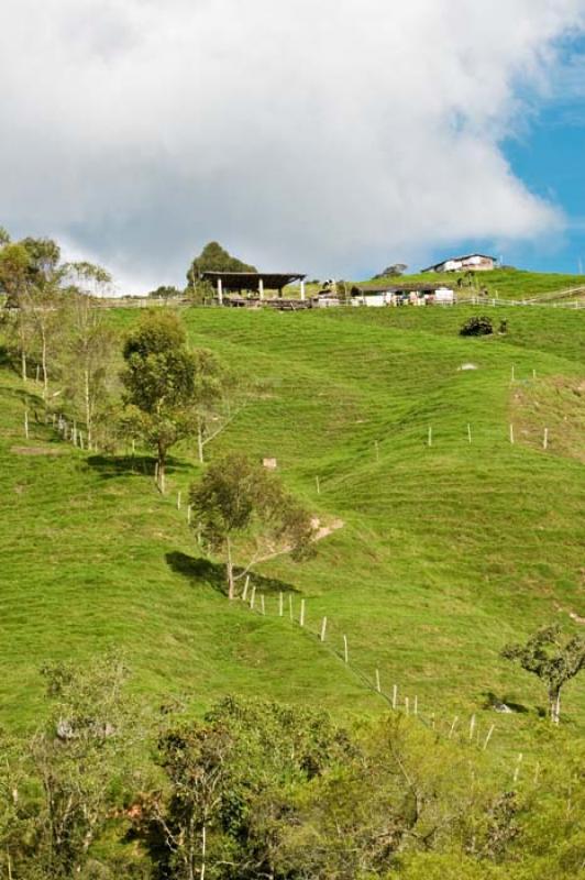 Llanos de Cuiva, Norte AntioqueÃ±o, Antioquia, M...