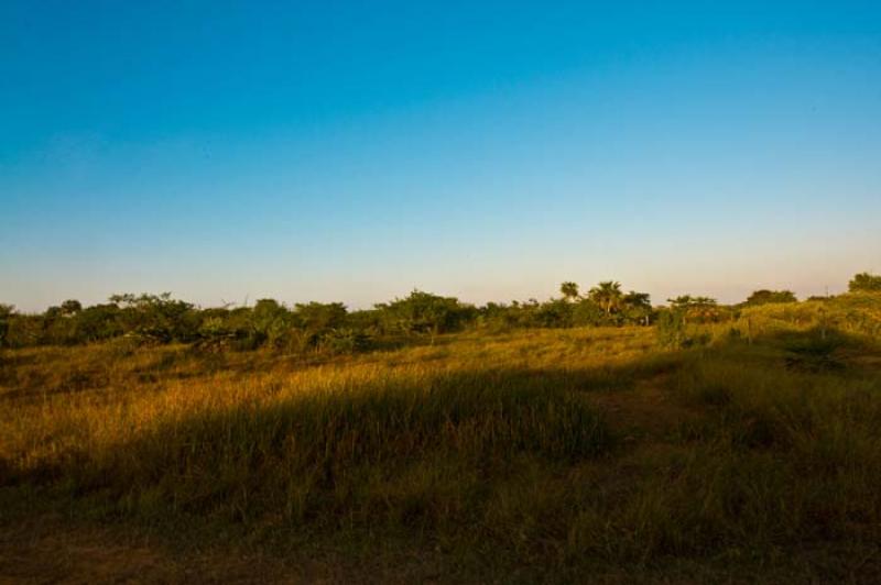 Reserva Natural Sanguare, Golfo de Morrosquillo, A...