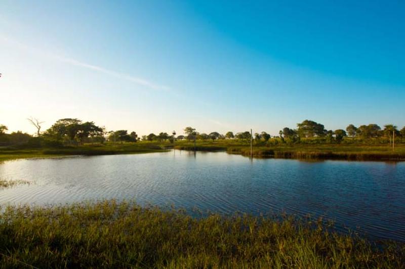 Reserva Natural Sanguare, Golfo de Morrosquillo, A...