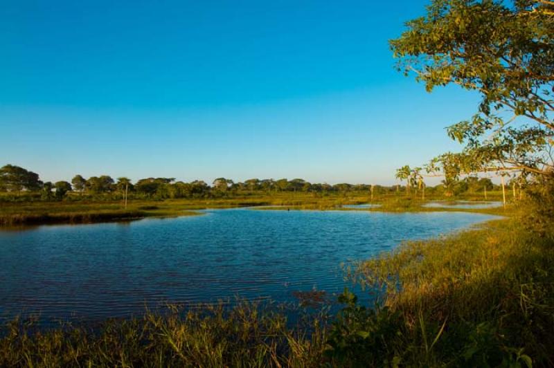 Reserva Natural Sanguare, Golfo de Morrosquillo, A...