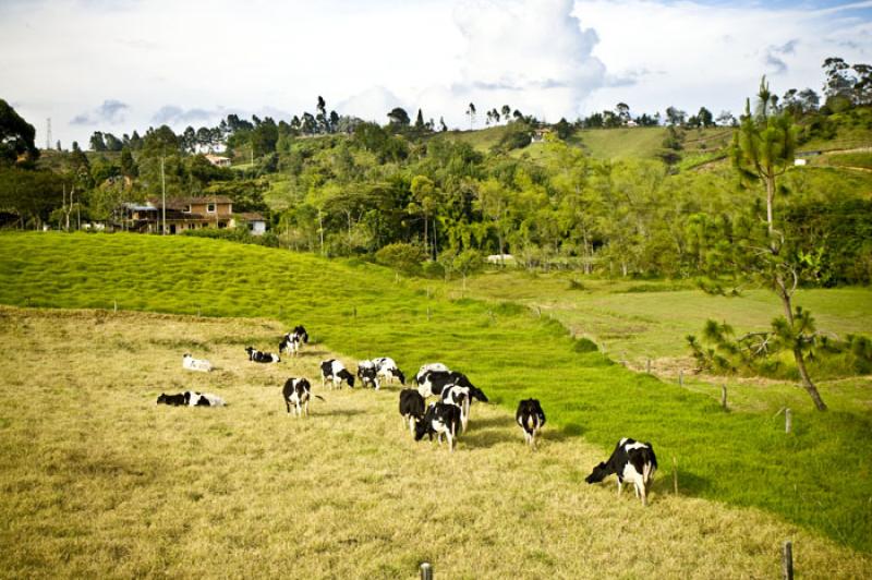 Llanos de Cuiva, Norte AntioqueÃ±o, Antioquia, M...