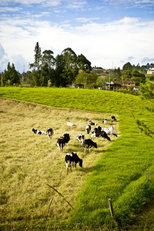 Llanos de Cuiva, Norte AntioqueÃ±o, Antioquia, M...