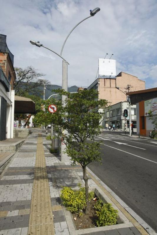 Calle 10, Poblado, Medellin, Antioquia, Colombia