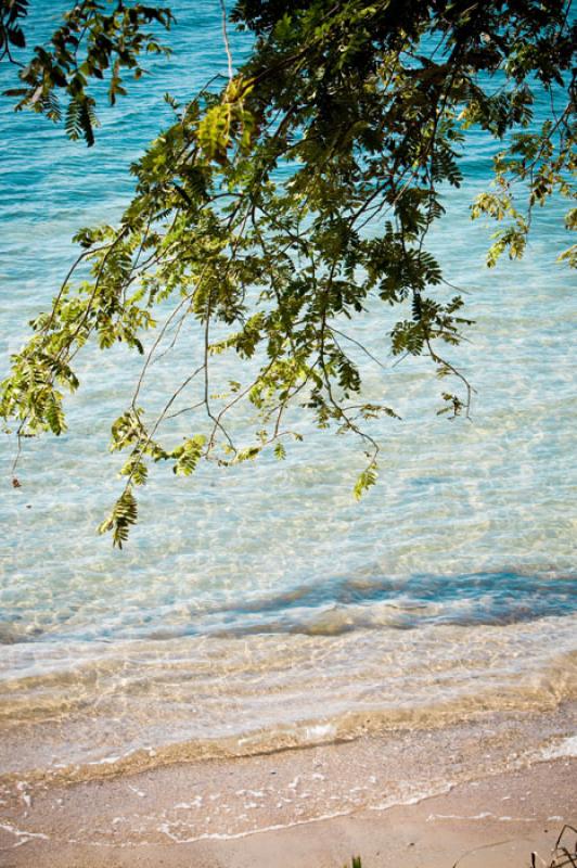 Cienaga de la Caimanera, CoveÃ±as, Golfo de Morr...