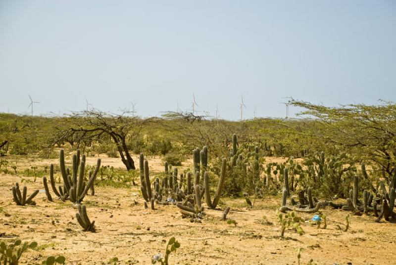 Parque Eolico Jepirachi, Peninsula de la Guajira, ...