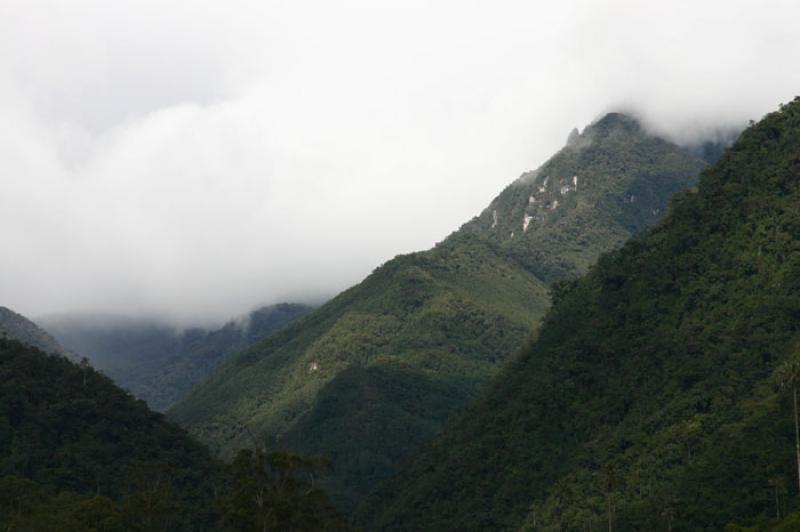 Valle del Cocora, Salento, Eje Cafetero, Quindio, ...