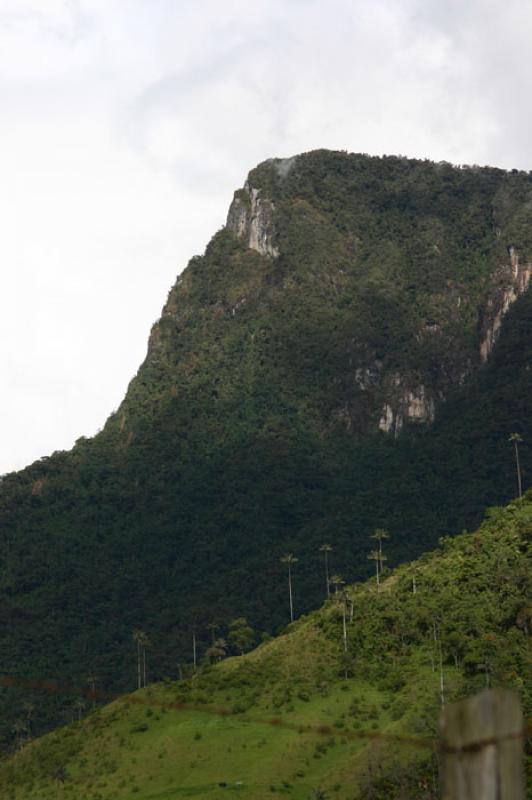 Valle del Cocora, Salento, Eje Cafetero, Quindio, ...