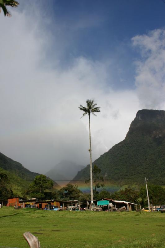 Valle del Cocora, Salento, Eje Cafetero, Quindio, ...