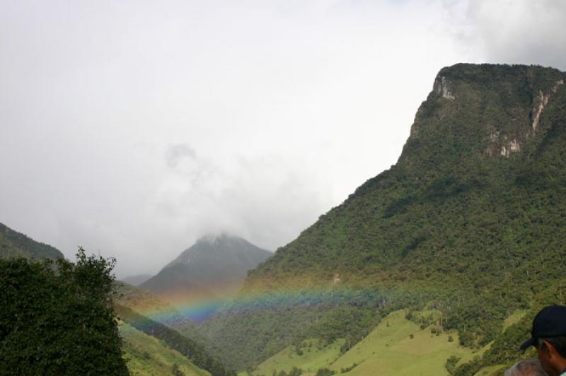 Valle del Cocora, Salento, Eje Cafetero, Quindio, ...