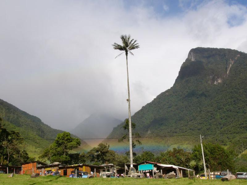 Valle del Cocora, Salento, Eje Cafetero, Quindio, ...