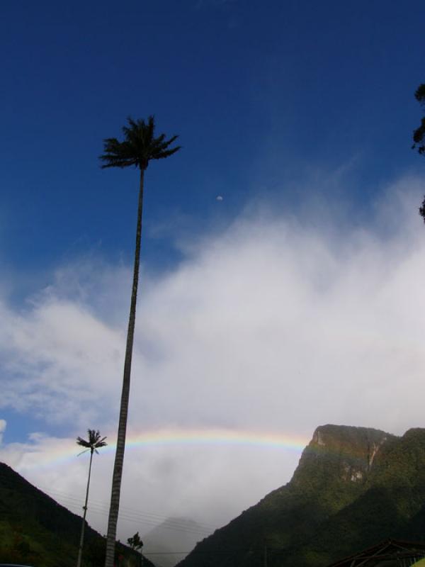 Valle del Cocora, Salento, Eje Cafetero, Quindio, ...