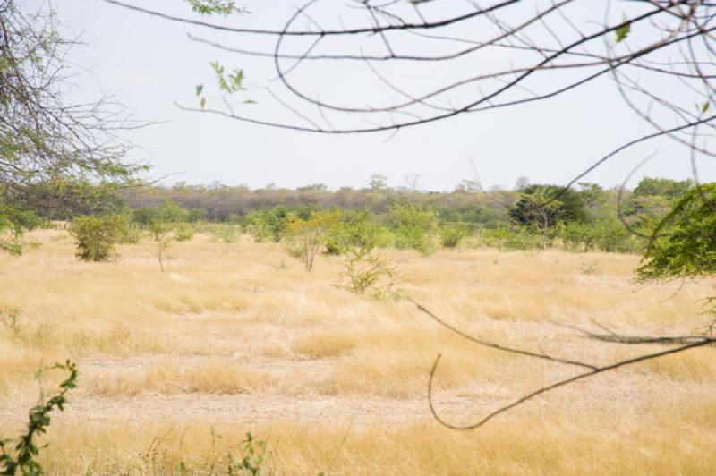 Paisaje de Valledupar, Cesar, Colombia