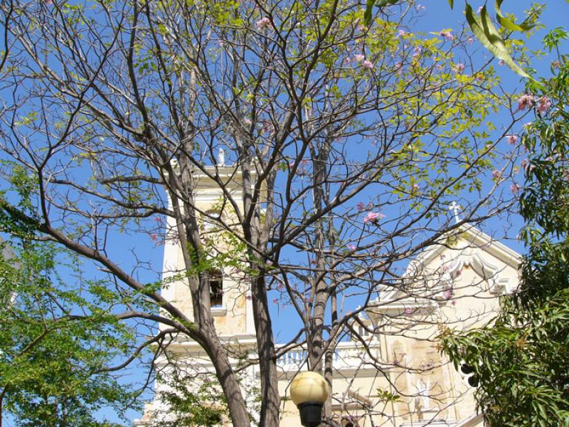 Catedral de Nuestra SeÃ±ora de los Remedios, Rio...