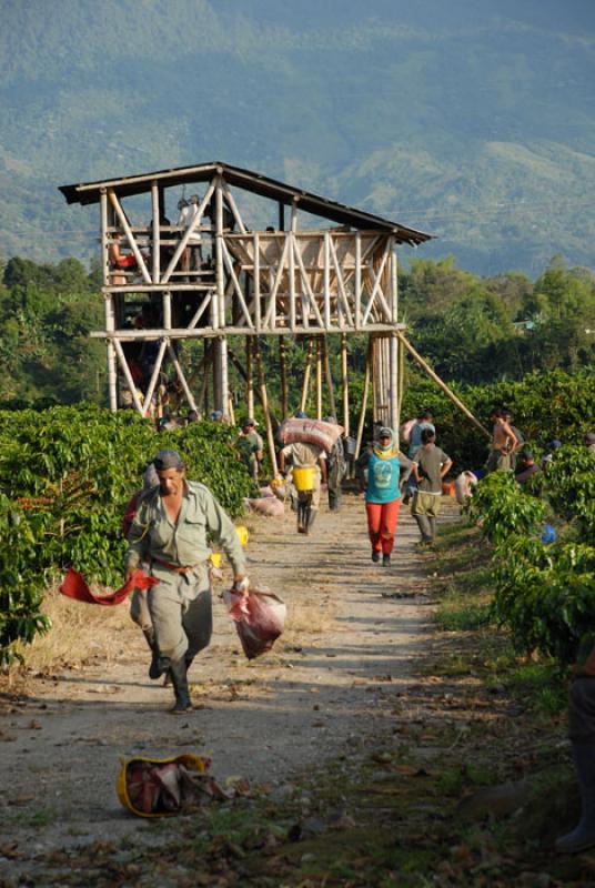 Eje Cafetero, Quindio, Armenia, Colombia