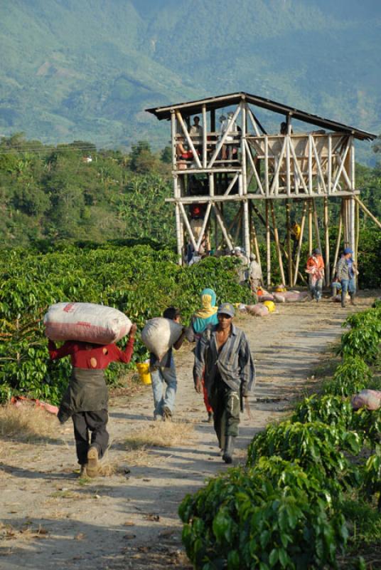 Eje Cafetero, Quindio, Armenia, Colombia