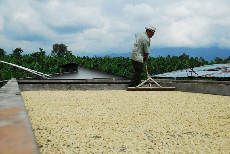 Cafe Seco, Eje Cafetero, Quindio, Armenia, Colombi...