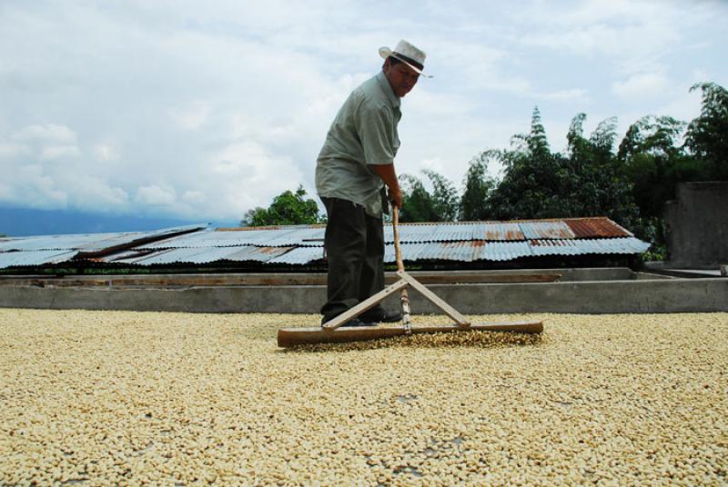 Cafe Seco, Eje Cafetero, Quindio, Armenia, Colombi...