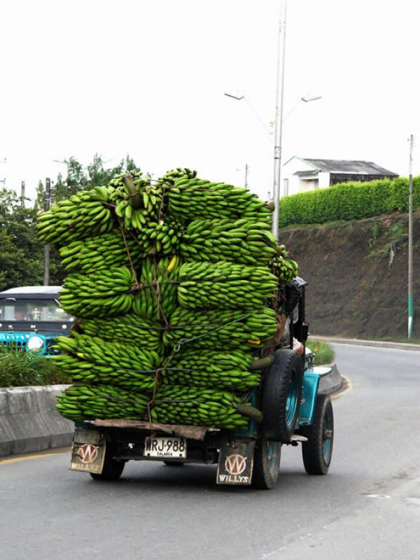 Carga de Platanos, Uraba, Antioquia, Colombia