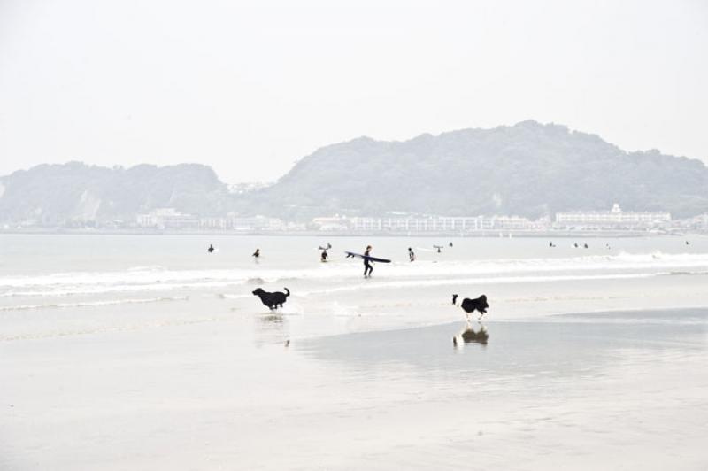 Playa de Yuigahama, Yuigahama, Kamakura, Kanagawa,...