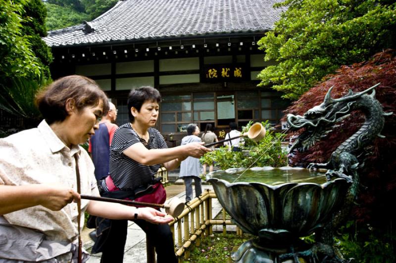 Meigetsu en, Kamakura, Kanagawa, Kanto, Japon, Tok...