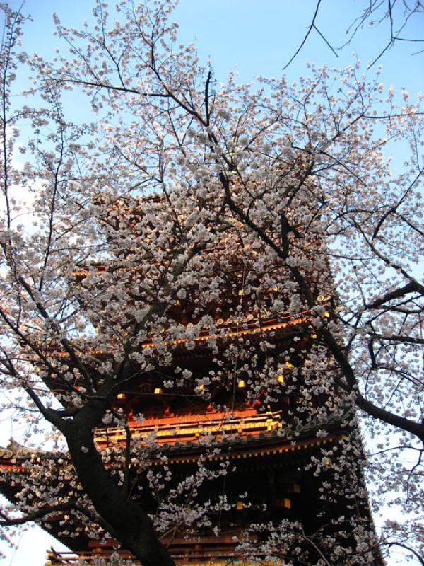 Templo Kiyomizu-dera, Kioto, Prefectura, Honshu, J...