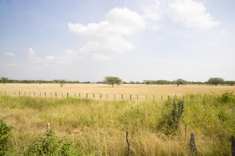 Paisaje de Valledupar, Cesar, Colombia