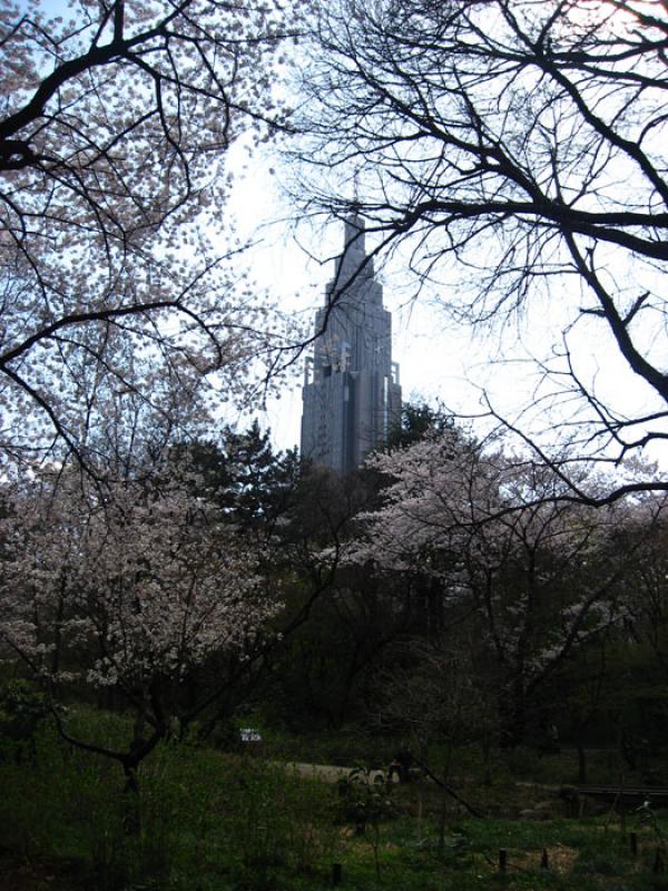 Jardin Nacional Shinjuku Gyoen, Shinjuku, Tokio, J...