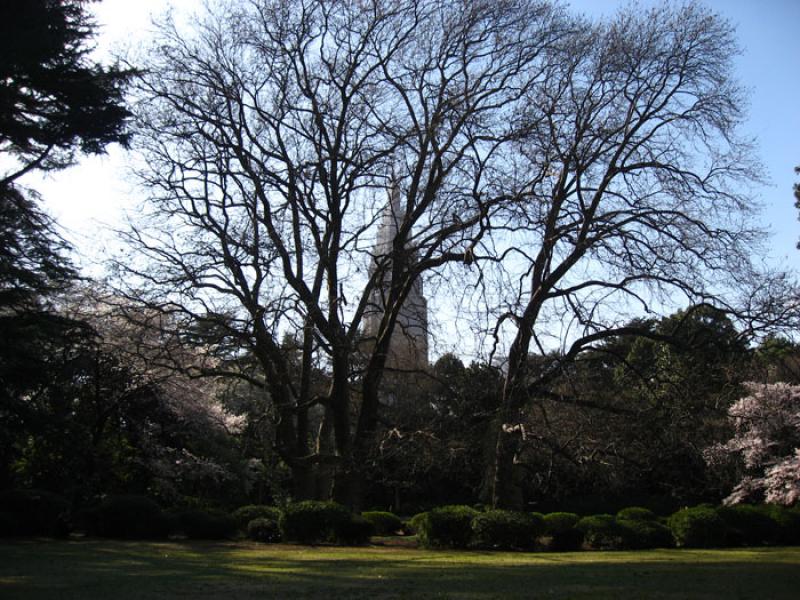 Jardin Nacional Shinjuku Gyoen, Shinjuku, Tokio, J...